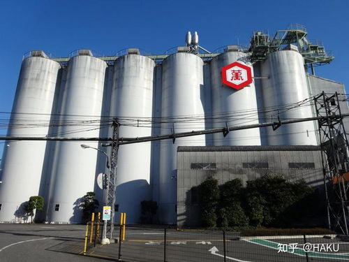 技術(shù)開發(fā)日?qǐng)?bào) 前沿動(dòng)態(tài)與實(shí)踐挑戰(zhàn)